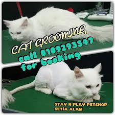 Di sini, kami di says mengumpulkan kepada anda 11 kafe terbaik yang boleh anda kunjungi. Stay N Play Pet Boarding Center Setia Alam Klang Valley Shah Alam 2021