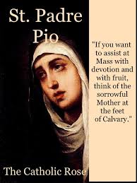 Peter Malic (petermalic71)