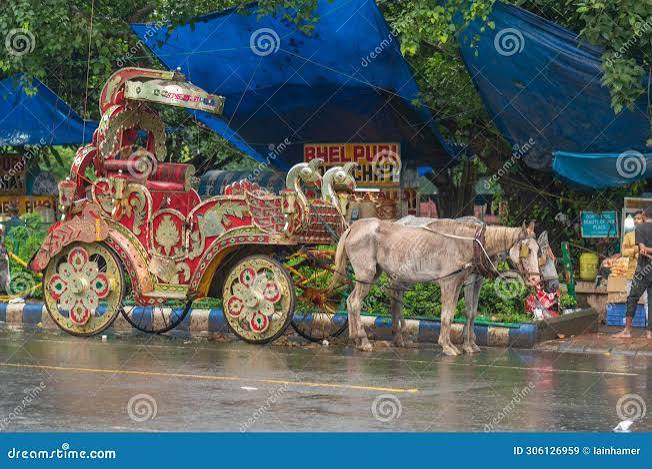 Horse and Carriage on a Street in Kolkata, West Bengal, India Editorial Stock Image - Image of post, festivals: 306126959