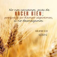 Pin En Versiculos Biblicos