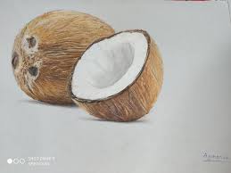 Coco palm cartoon isolated on white. An Old Colored Pencil Drawing From 1 Year And A Half Ago Drawing