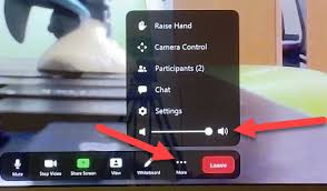 Zoom audio controls