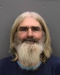 Deputies: Man hit pet pit bull with hammer