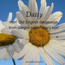 Pin By Spiral Skills Tutoring And Aca On Structured Word Inquiry Daisy Plants Old English