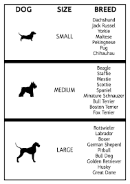 Pitbull Size Chart Goldenacresdogs Com