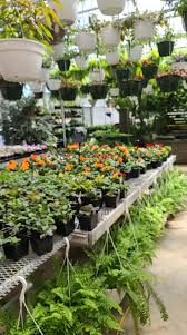 I bought my rocks here for my zen garden.and they had a variety of selection to choose from.they also delivered on the day that i needed it very professional i highly recommend them. Mountain View Gardens Home Facebook
