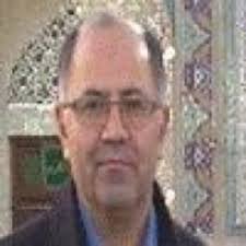 Mehran HABIBI-REZAEI