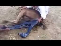 Others give birth to very immature embryo type babies which. Camel Giving Birth Youtube