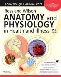 Ross And Wilson Anatomy And Physiology In Health And Illness By Anne Waugh Essentials of medical physiology, 6th edition. ross and wilson anatomy and physiology