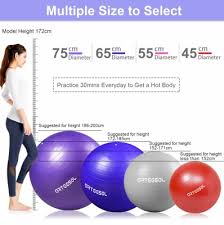 Best Birthing Balls Reviewed Rated In 2019 Borncute