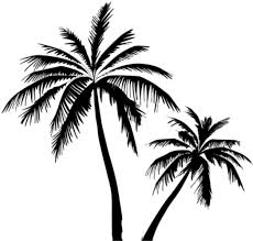We carefully collected 9 cliparts about palm tree clipart black and white so you can use them for study, work, fun and entertainment for free. Coconut Tree Vector Free Clipart Full Size Clipart 3654463 Pinclipart