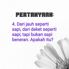 Jika aku tertutup maka terlihat. Tebak Tebakan Lucu Terbaru Teka Teki Lucu