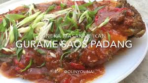 Gurame sambal ijo saus padang. Resep Cara Membuat Ikan Gurame Saos Padang By Olinyolina Youtube