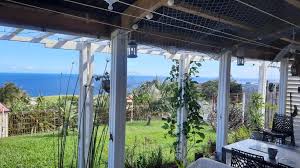Chambre Vue Sur Mer Entre Grande Anse Et Manapany Sejours Chez L Habitant Dansmanapany Les Bains La Reunion Tarifs 2021 Mis A Jour Wander