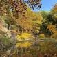 Manitoga in Focus: All Four Seasons, Autumn Walk  event image