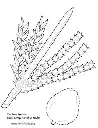 Online coloring pages for kids and parents. Sukkot Coloring Pages Crafts Coloring Pages Jewish Kids