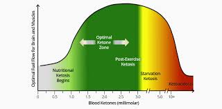 Blood Ketone Level Clarification Ketogenic Forums