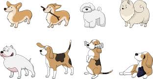I have a cavalier king charles called lucifer. Unique Female Dog Names For All Breeds Starting With Any Letter Farmpally Com