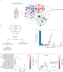 Network Medicine Framework Shows That Proximity Of Polyphenol Targets And Disease Proteins Predicts Therapeutic Effects Of Polyphenols Nature Food