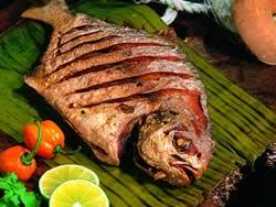Resultado de imagen para platillos tipicos de los cabos pescado