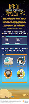 You have cat to be kitten me right meow.. These Star Wars Pets Names Are The Cutest Thing To Ever Happen To This Fandom