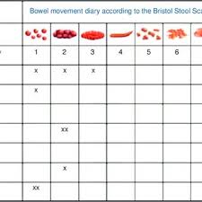 bowel movement frequency diary according to the bristol