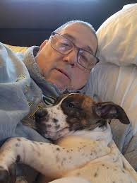 Adopted dog adjusting well