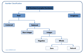 Example:fiona/the birds fiona looked after his birds. Tree Diagram For Number Classifications Physics And Mathematics Mathematics Education Tree Diagram