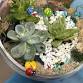 Terrarium Time event in Inver Grove Heights, MN