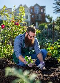 Rhs Level 2 Allotment Gardening Organic Vegetable Garden Gardening Tips