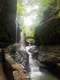 Image result for ithaca falls