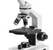 Microscope à lumière transmise OBS 101 | KERN & SOHN