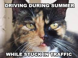 Pin On Driving Memes