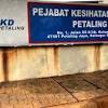 Projek komersil nenas bestari jaya. 1