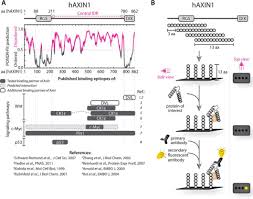 Google has many special features to help you find exactly what you're looking for. Muni He 1080 Follow Your Favorite Pro Golfer Muni He Manko S Gallery