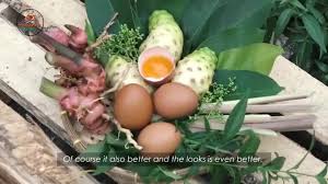 Kualitas telur ayam yang tinggi, mengandung nutrisi yang tinggi pula. Telur Sekuntum Herbal Way Halim Facebook