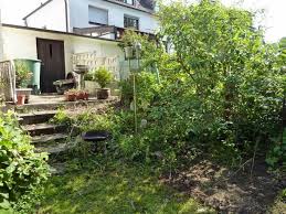 Diese anzeige ist nicht mehr verfügbar! Hilfe Garten Gartenentrumpelung Entwilderung Und Verschonerung Pflanzen Natur Baum
