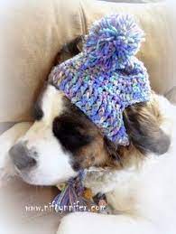 Free Crochet Pattern A Silly Hat For My Silly Dog Http Www Niftynnifer Com 2015 01 Free Crochet Pattern Sil Crochet Dog Hat Crochet Dog Clothes Crochet Dog