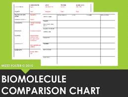 Biomolecule Comparison Chart Stock Market Common Stock