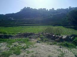 صور من بلادي اليمن المحويت Natural Landmarks Outdoor Landmarks