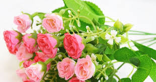 Hempedu bumi merupakan satu tumbuhan herba semusim yang tumbuh menegak. Digelar Raja Herba Pahit Ramai Tak Tahu Khasiat Sebenar Hempedu Bumi Impiana