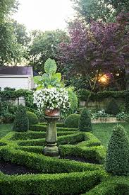 We therefore recommend a thick layer of shredded this wee white hydrangea variety is a great choice for any landscaping project. Tips For Growing Boxwood Better Homes Gardens