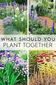Pin On Horticulture Careers