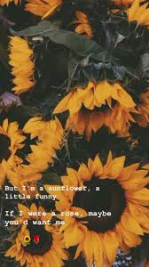 Pin By Mt On Quotes Sunflower Wallpaper Cute Tumblr Wallpaper Sunflower Iphone Wallpaper