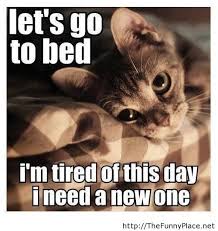 Tired Of This Day Quote Cats Funny Animals Cat Pics