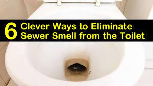 Check spelling or type a new query. 6 Clever Ways To Eliminate Sewer Smell From The Toilet