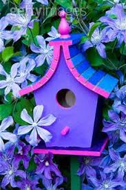 Best room design with wooden floor located at the bulgarian seaside, nima architecture if it comes to decorating a home, there are several different things that you could do to help create the house you live in look amazing. 180 Decorative Bird Houses Ideas Bird Houses Decorative Bird Houses Bird