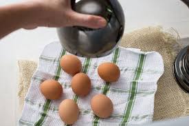 How To Hatch Chicken Eggs At Home Without An Incubator Animals Mom Me Homemade Incubator Best Egg Laying Chickens Hatching Chickens