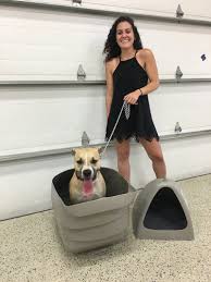 It also has a very low profile. Dog House Underground Dog Houses How To Build