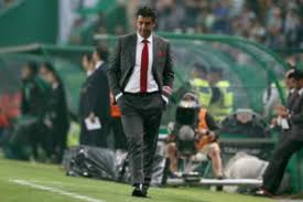 Руй карлос пиньо да витория (порт. A Temporada Da Consagracao De Rui Vitoria Futebol Publico